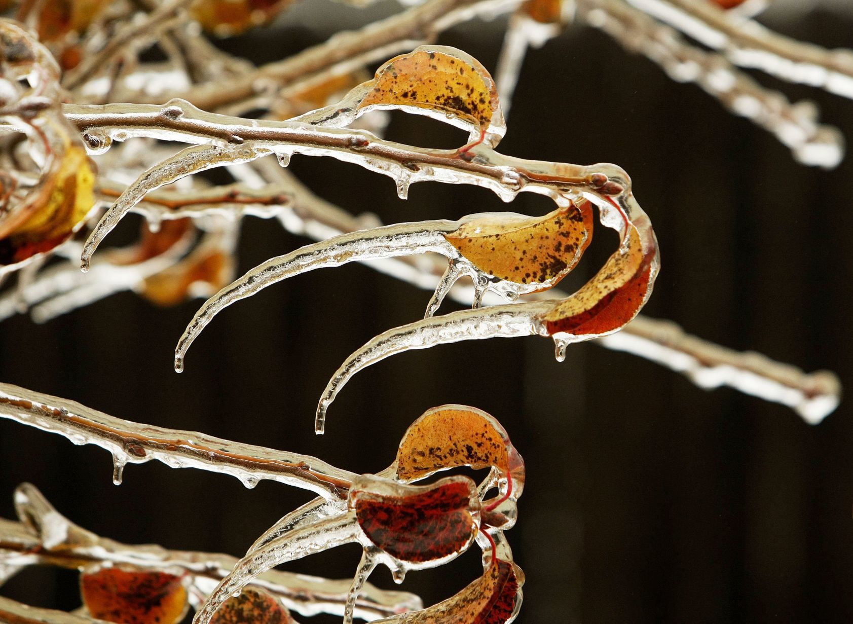 2007 ice storm